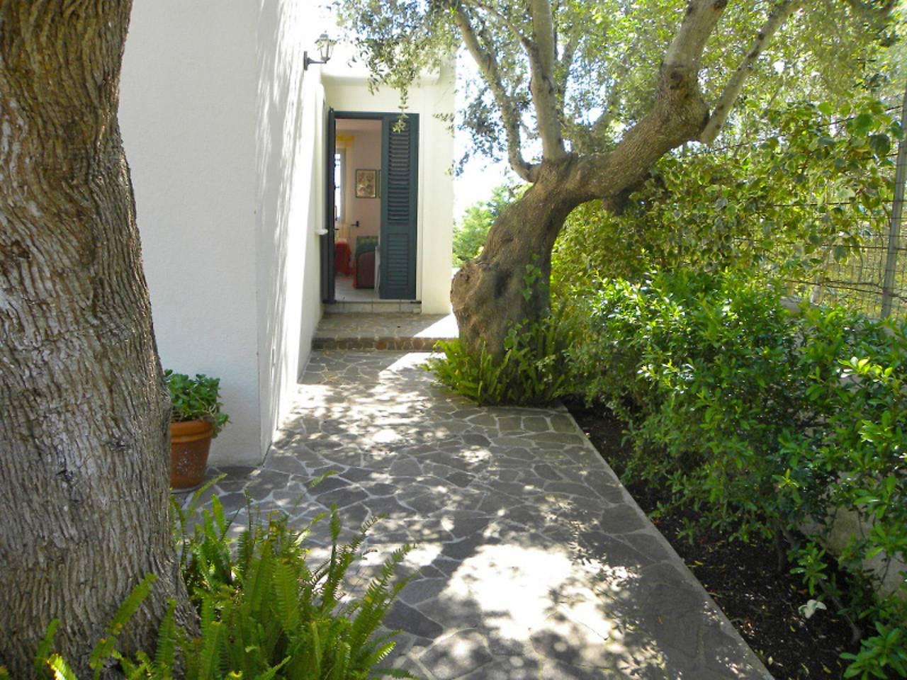 Cicala-Villa Anna in Andrano, Provincie Lecce, Italië voor 4 personen foto 19