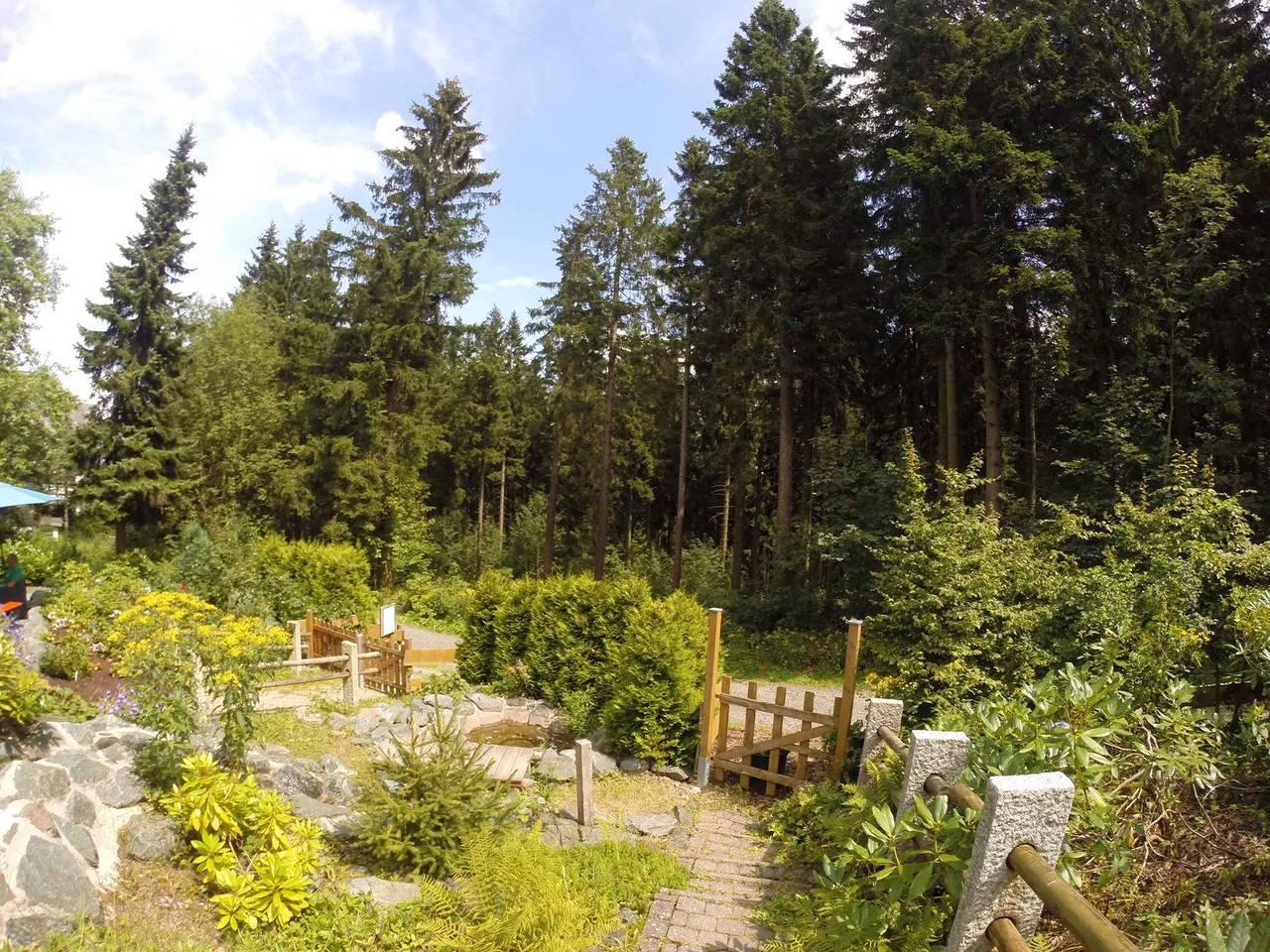 Vakantieappartement in Sauerland, Duitsland voor 8 personen foto 3