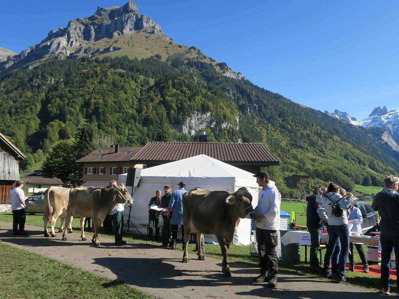 Vakantieappartement in Engelberg, Zwitserland voor 8 personen foto 12
