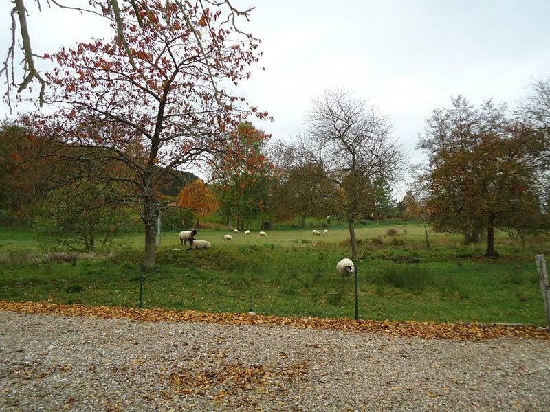 Gîtes de France® - Aux Charmes de la Varenne in Muchedent, Frankrijk voor 6 personen foto 24