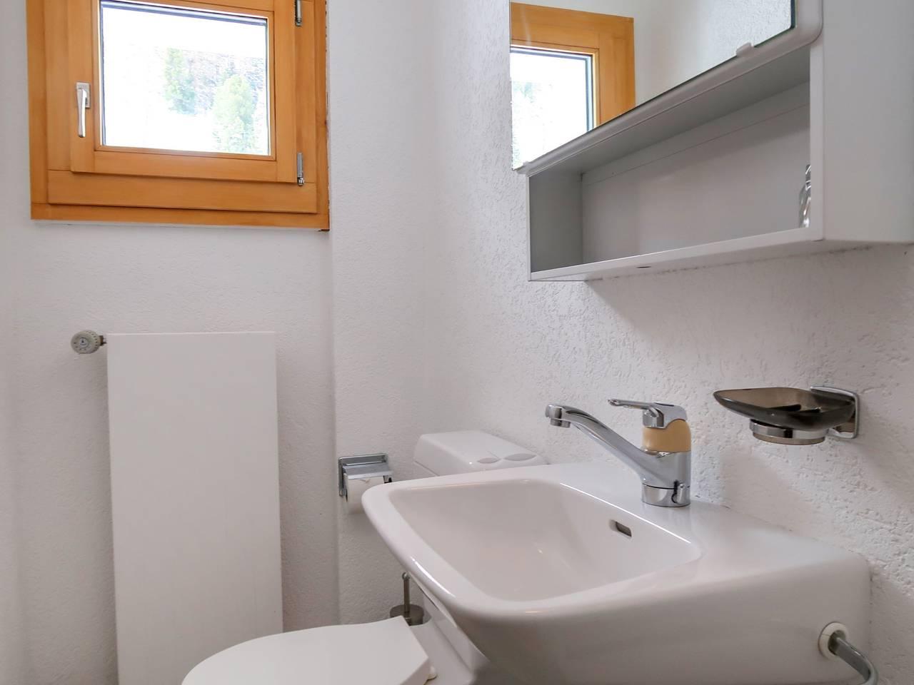Rosablanche met 1 slaapkamer en sauna in Sornard (Nendaz), Nendaz, Zwitserland voor 4 personen foto 18
