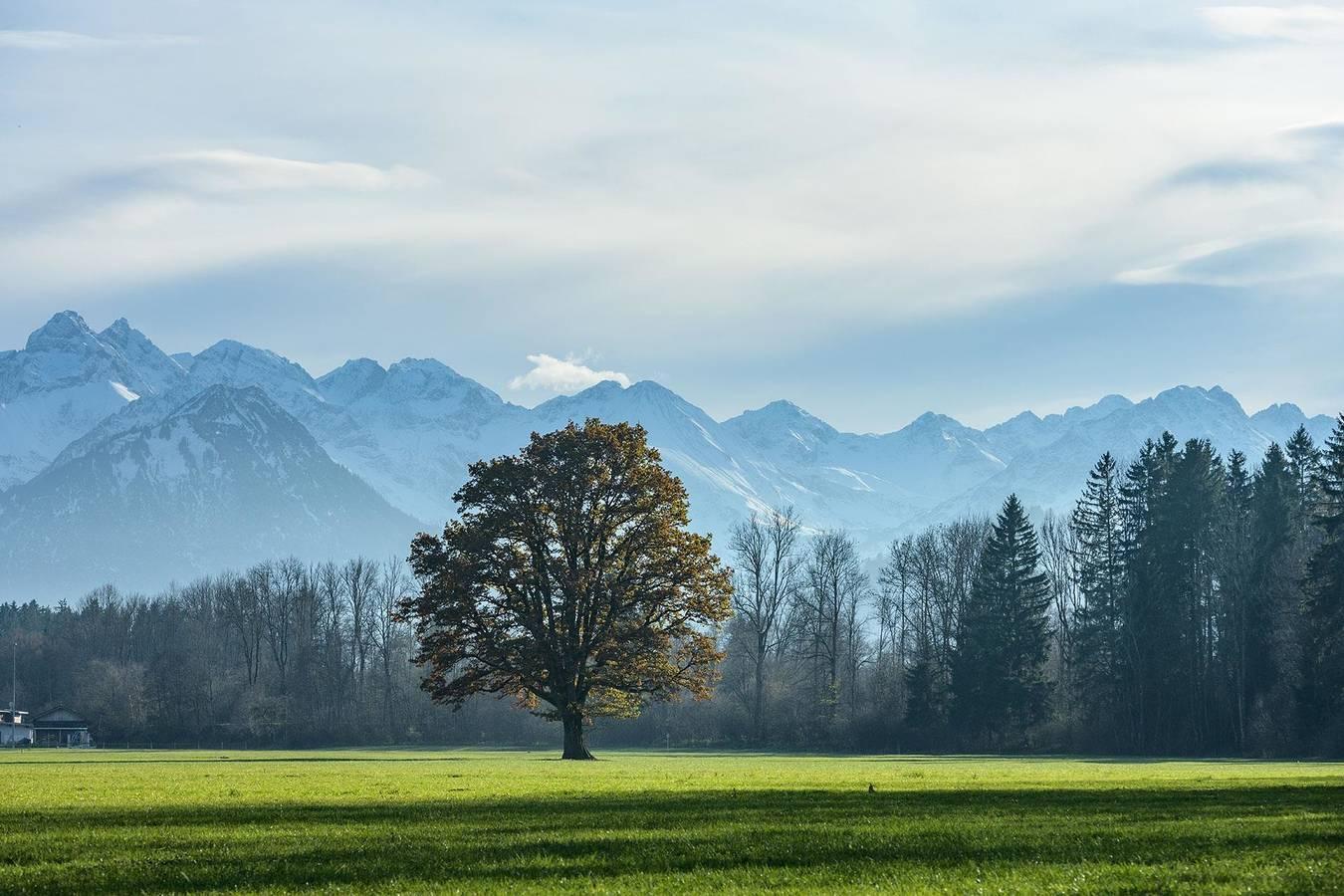 Enzian Hütte in Sonthofen, Zwaben (Bayern), Duitsland voor 6 personen foto 22