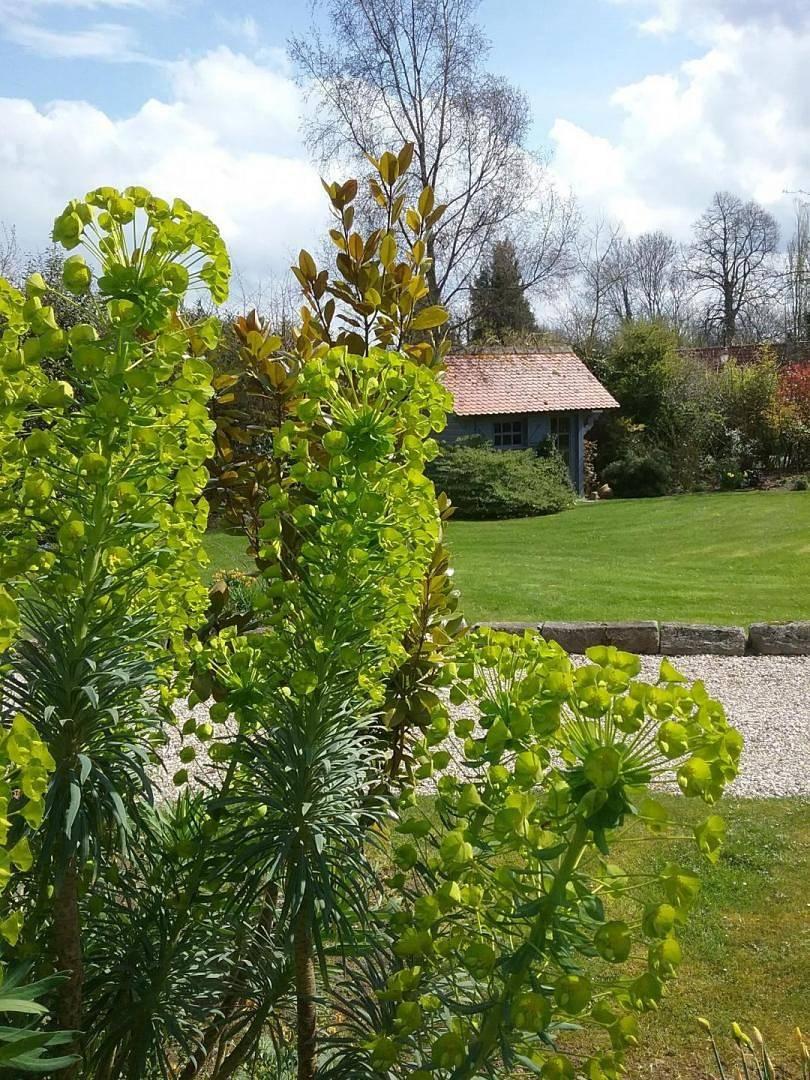 Gîtes de France® - Le Petit Marin in Brunville, Petit-Caux, Frankrijk voor 2 personen foto 21