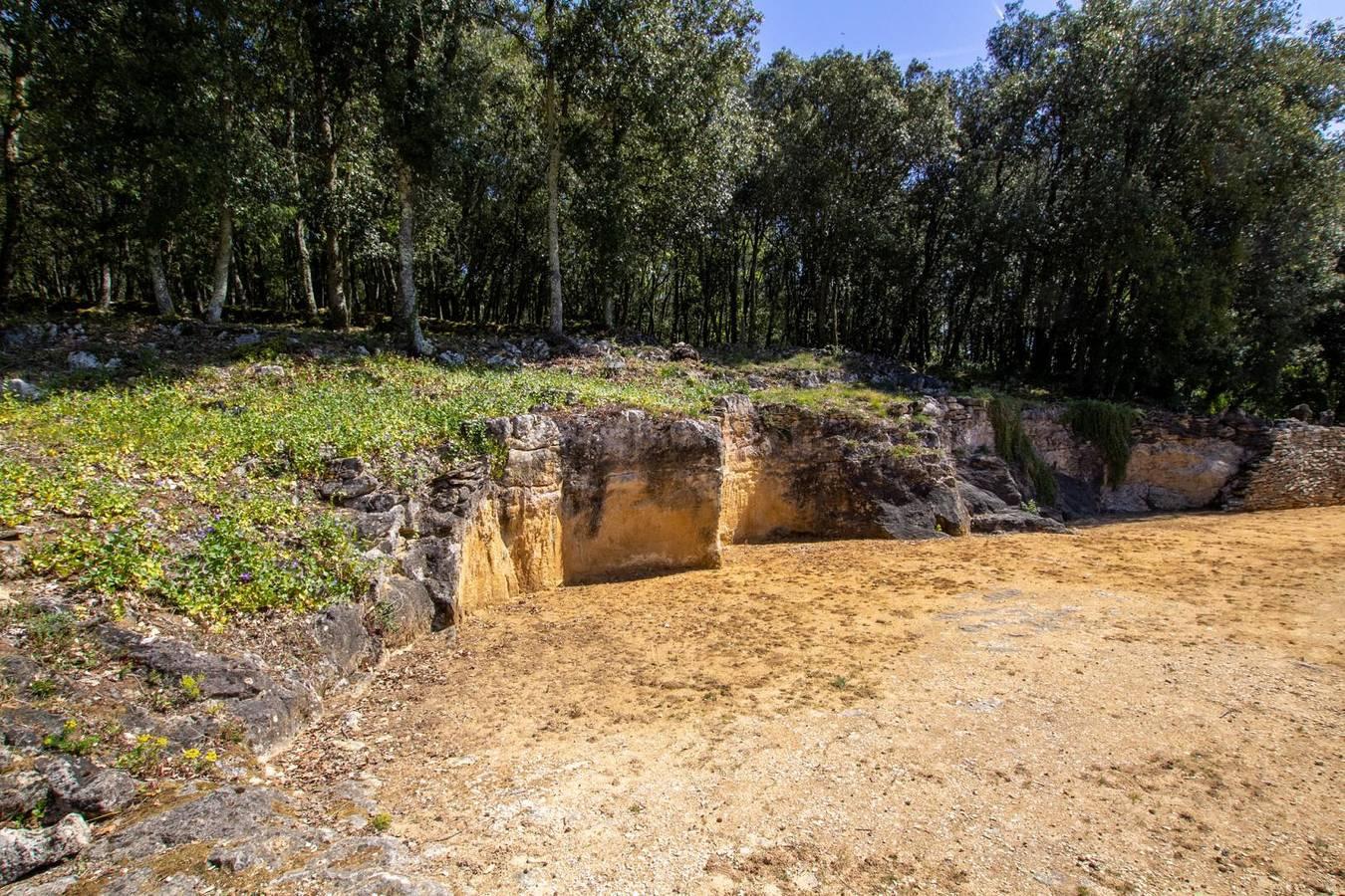 Les Cigales-Les Combes Basses in La Roque-Gageac, Périgord Noir, Frankrijk voor 2 personen foto 22