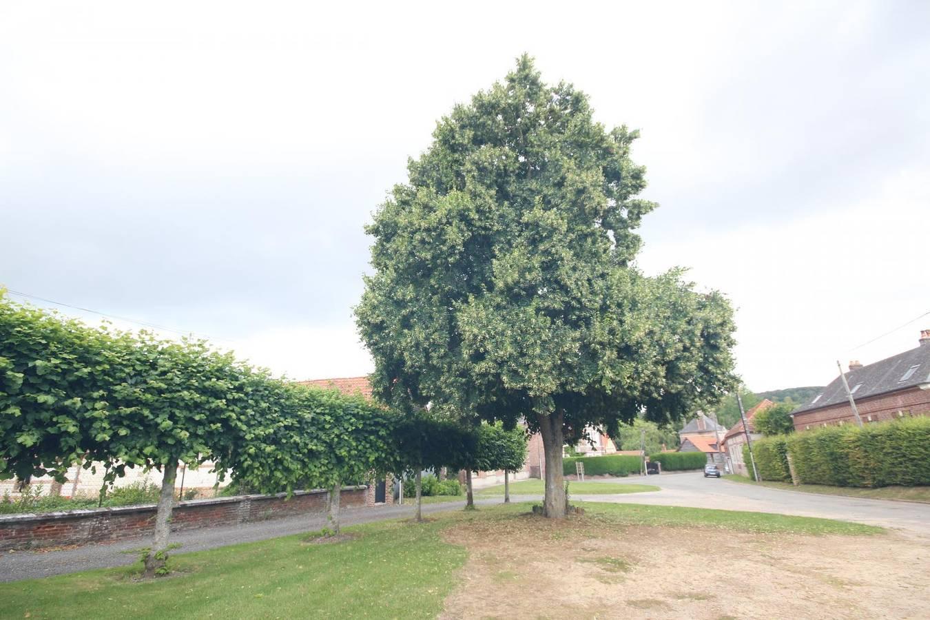 Gîtes de France® - Gîte des 7 moulins in Sept-Meules, Frankrijk voor 12 personen foto 23