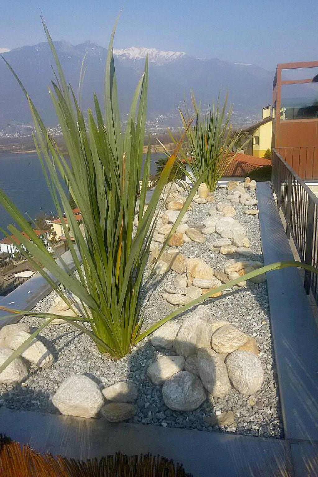 Top Lakeview in Gambarogno, Maggioremeer, Zwitserland voor 4 personen foto 23