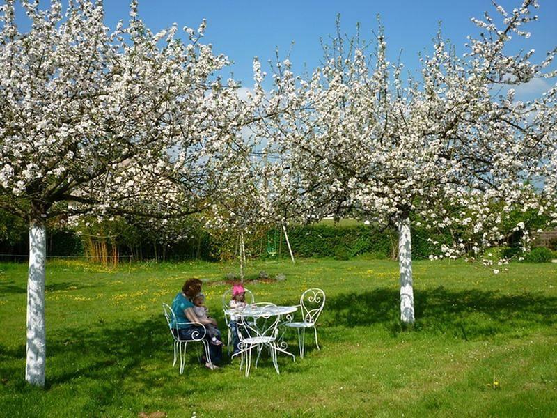 Gîtes de France® - Au Merle Moqueur in Vatteville-la-Rue, Frankrijk voor 4 personen foto 20