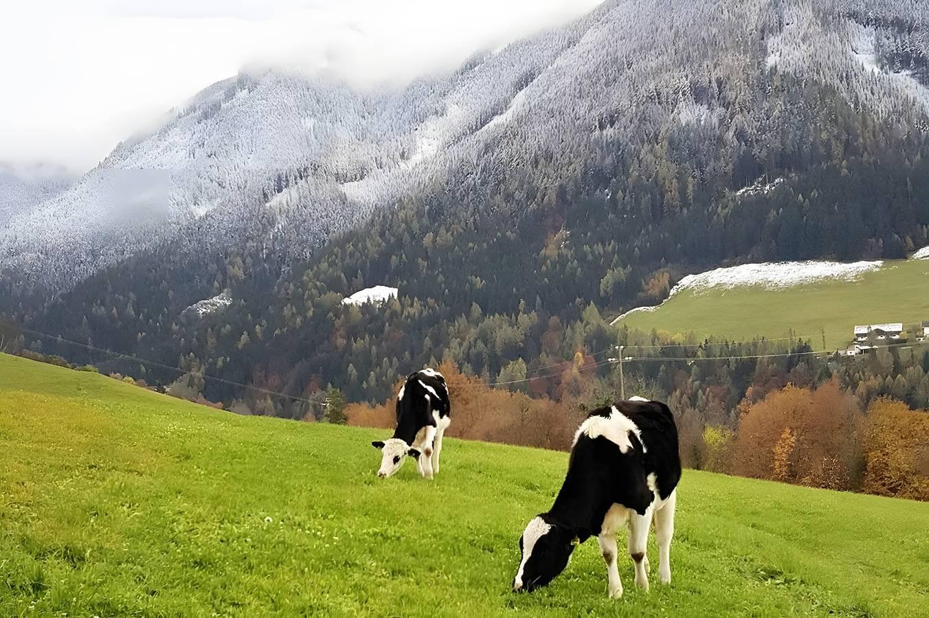 Appartement 'Schlern' met uitzicht op de bergen, eigen terras en Wi-Fi in Ums, Völs am Schlern, Italië voor 4 personen foto 19