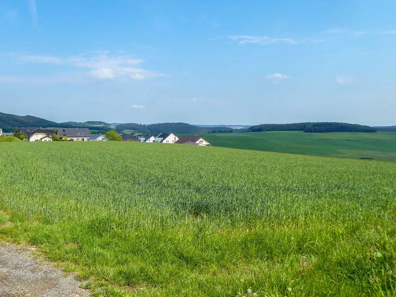 Löwenzahn in Nürburgring, Müllenbach, Duitsland voor 2 personen foto 24