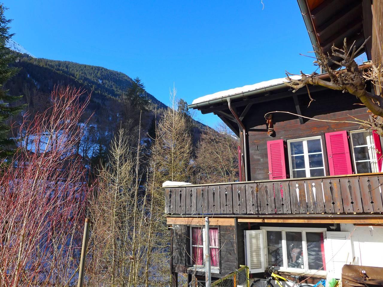 Vakantieappartement met hond toegestaan in Wengen, Lauterbrunnen, Zwitserland voor 4 personen foto 21
