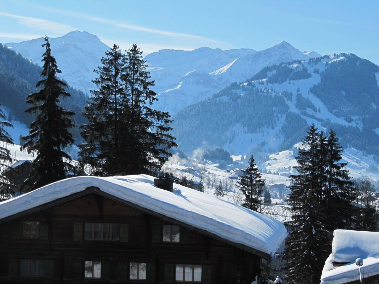 Vakantieappartement in Saanen, Zwitserland voor 4 personen foto 3