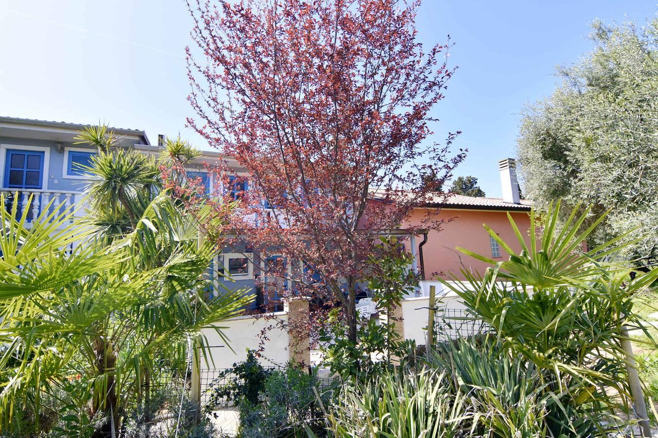 Vakantieappartement in Umag, Kroatië voor 2 personen foto 12