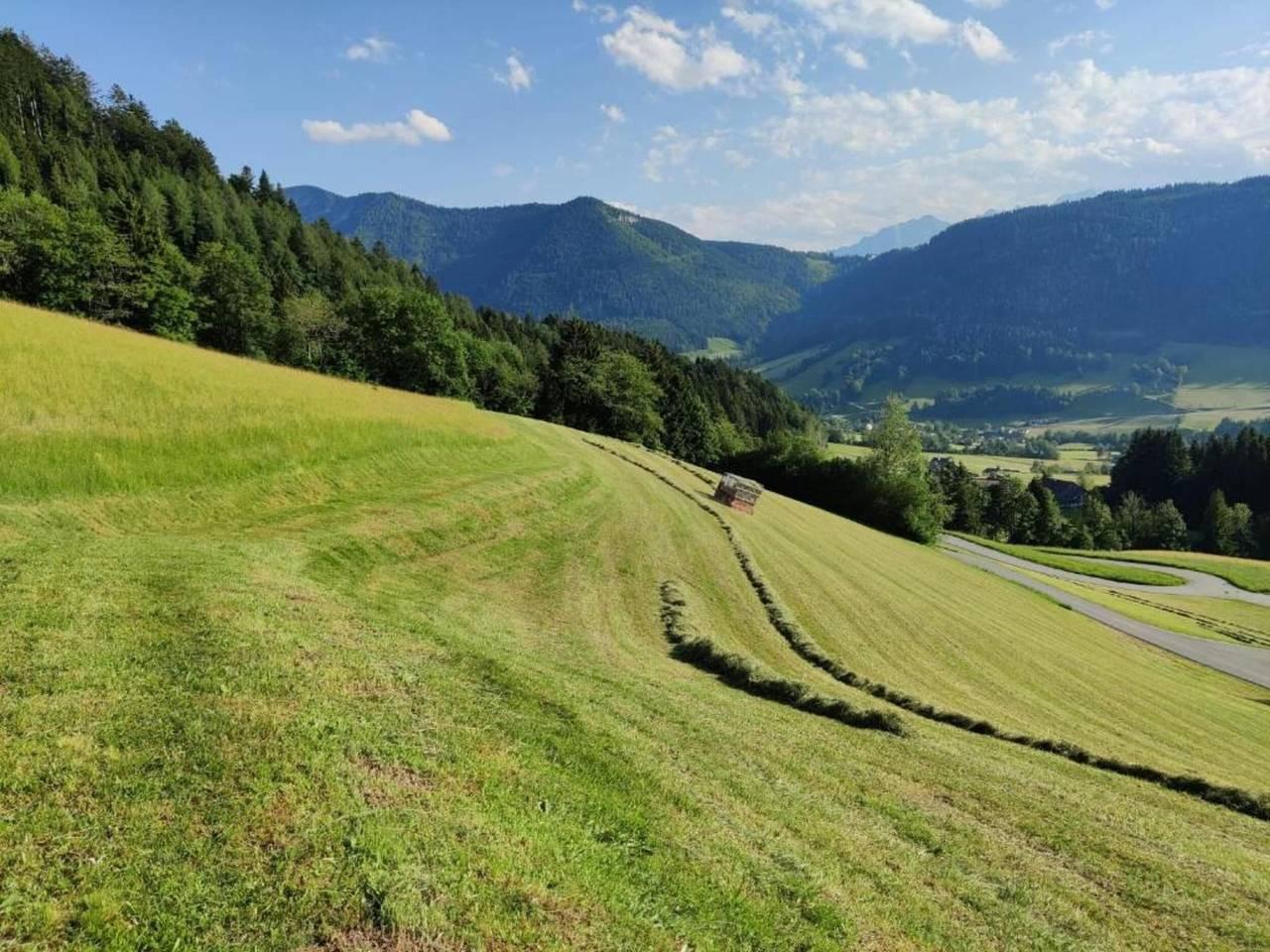 Vakantieappartement met sauna en hond toegestaan in Flachau, Tennengau, Oostenrijk voor 15 personen foto 22
