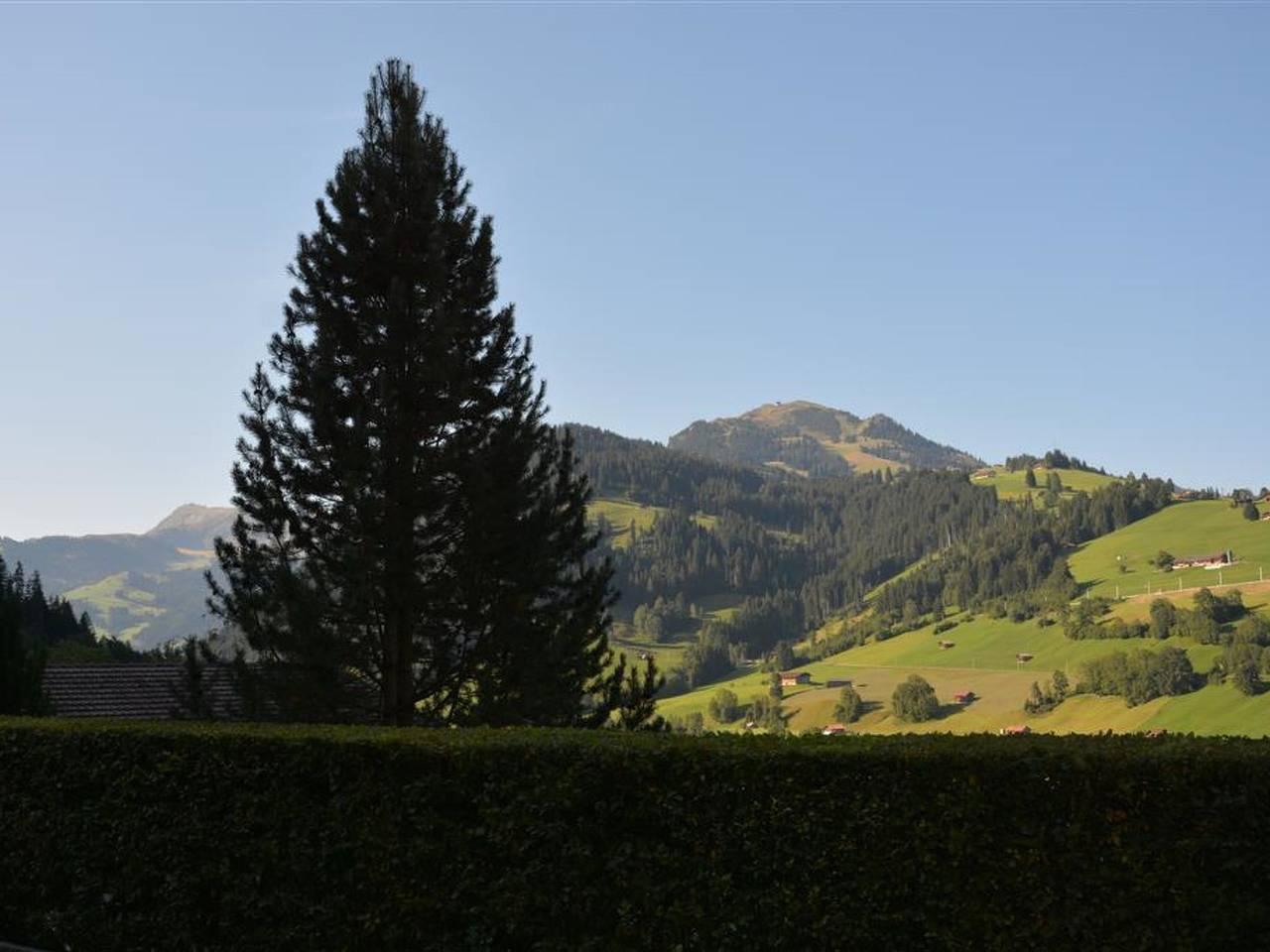 Vakantieappartement in Zweisimmen, Zwitserland voor 2 personen foto 7
