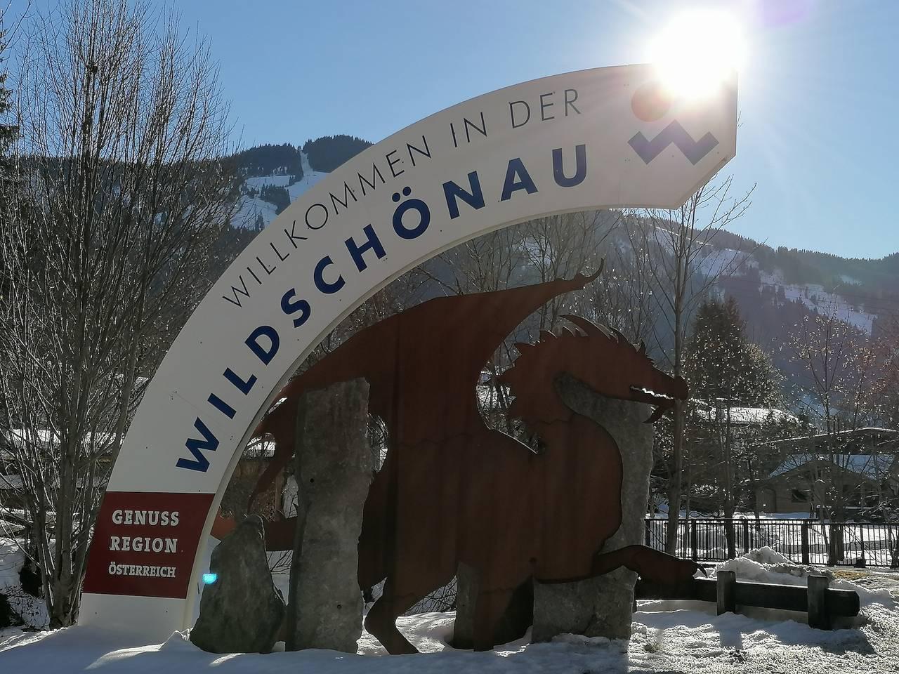 Vakantieappartement in Wildschönau, Oostenrijk voor 2 personen foto 19