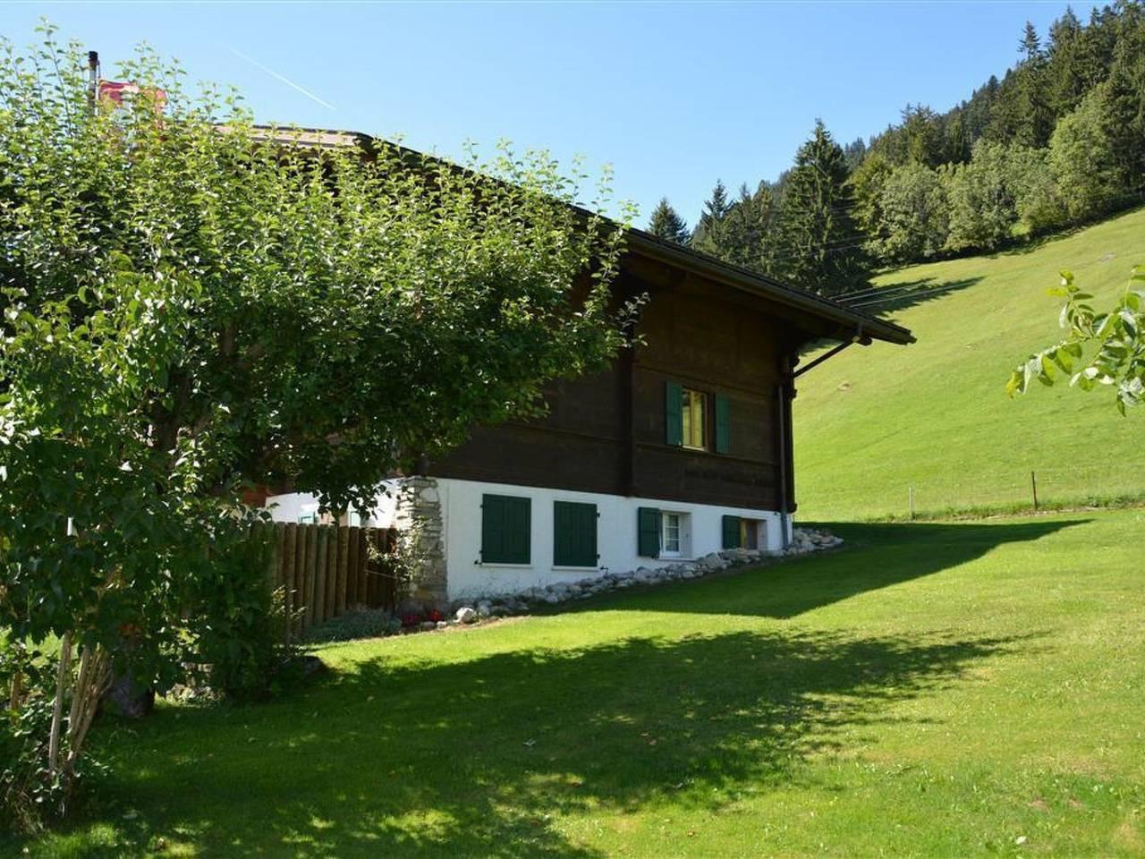 Vakantieappartement in Saanen, Zwitserland voor 5 personen foto 7