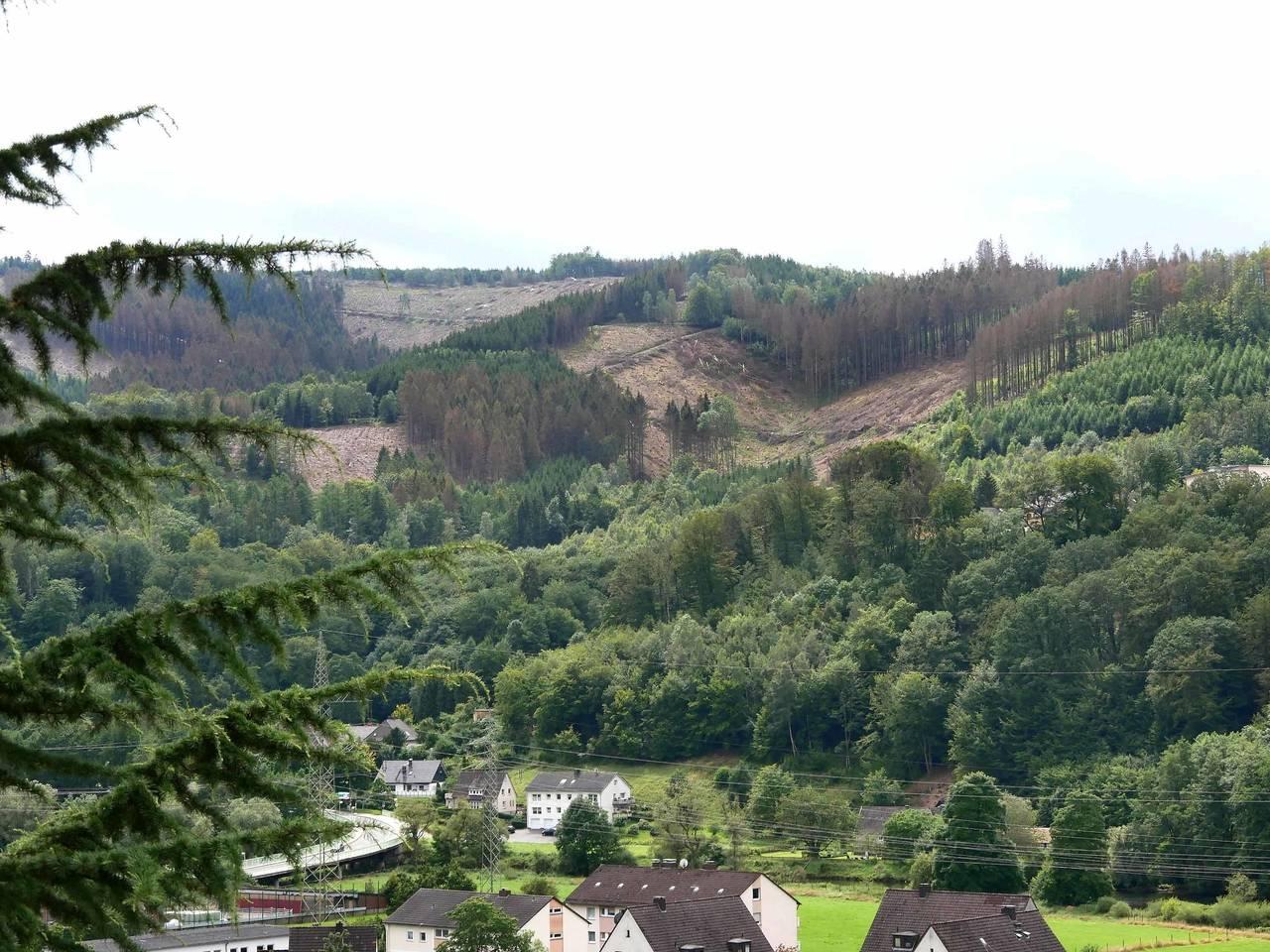 Vakantieappartement in Sauerland, Duitsland voor 3 personen foto 15