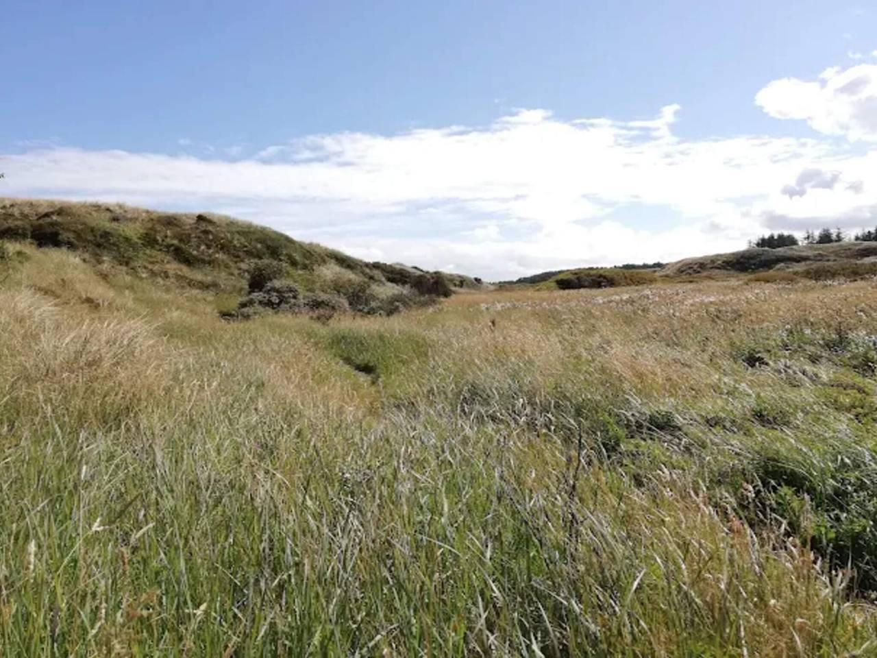 Vakantiehuis in Ålbæk, Denemarken voor 5 personen foto 5