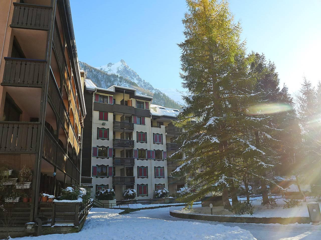 Jonquilles in Chamonix, Mont Blanc-massief, Frankrijk voor 4 personen foto 20