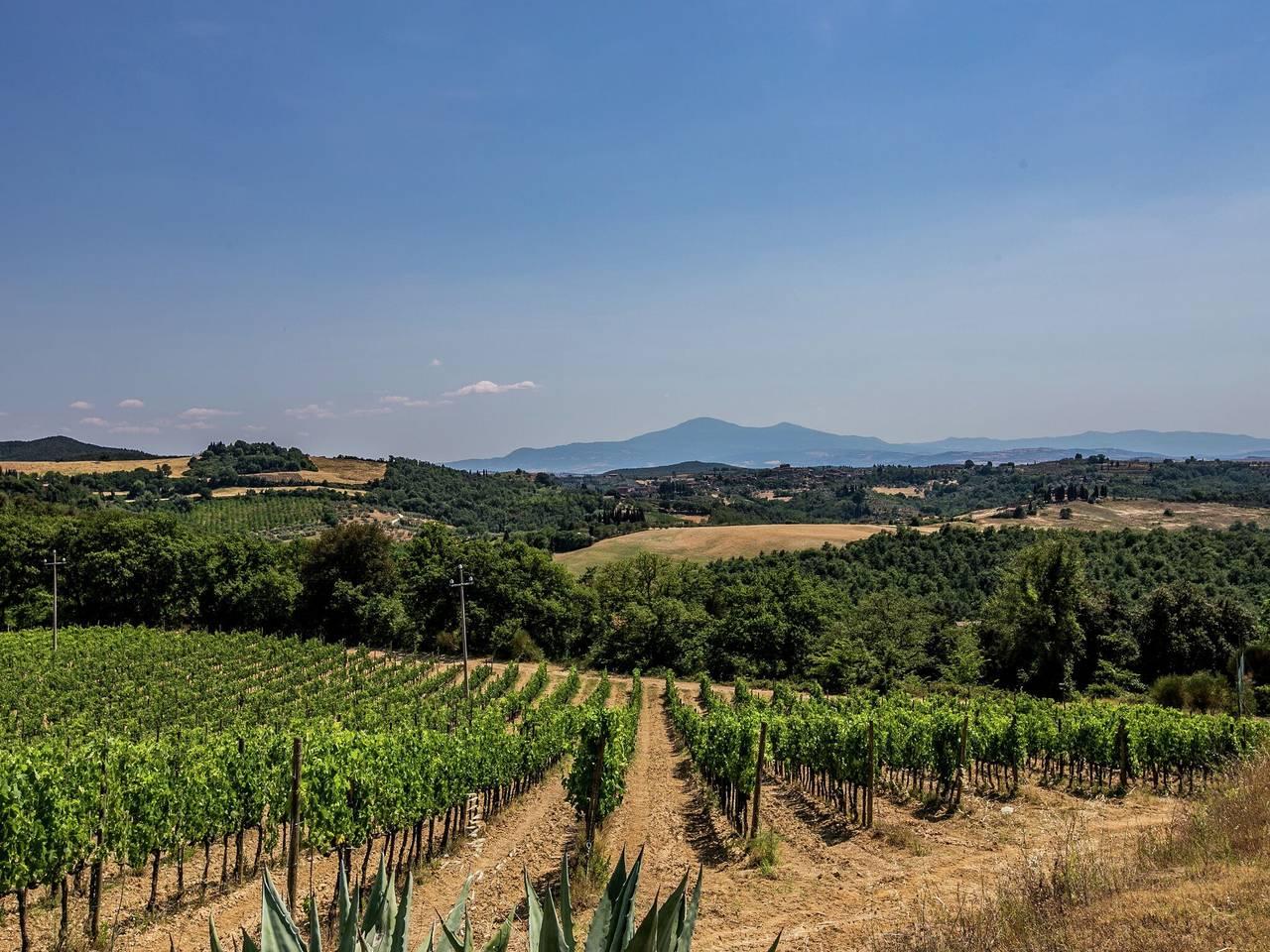 Vakantiehuis in Trequanda, Italië voor 10 personen foto 9