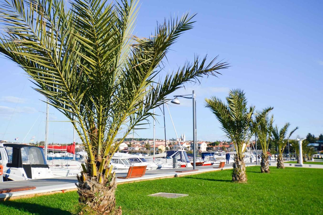 Vakantieappartement in Medulin, Kroatië voor 4 personen foto 12