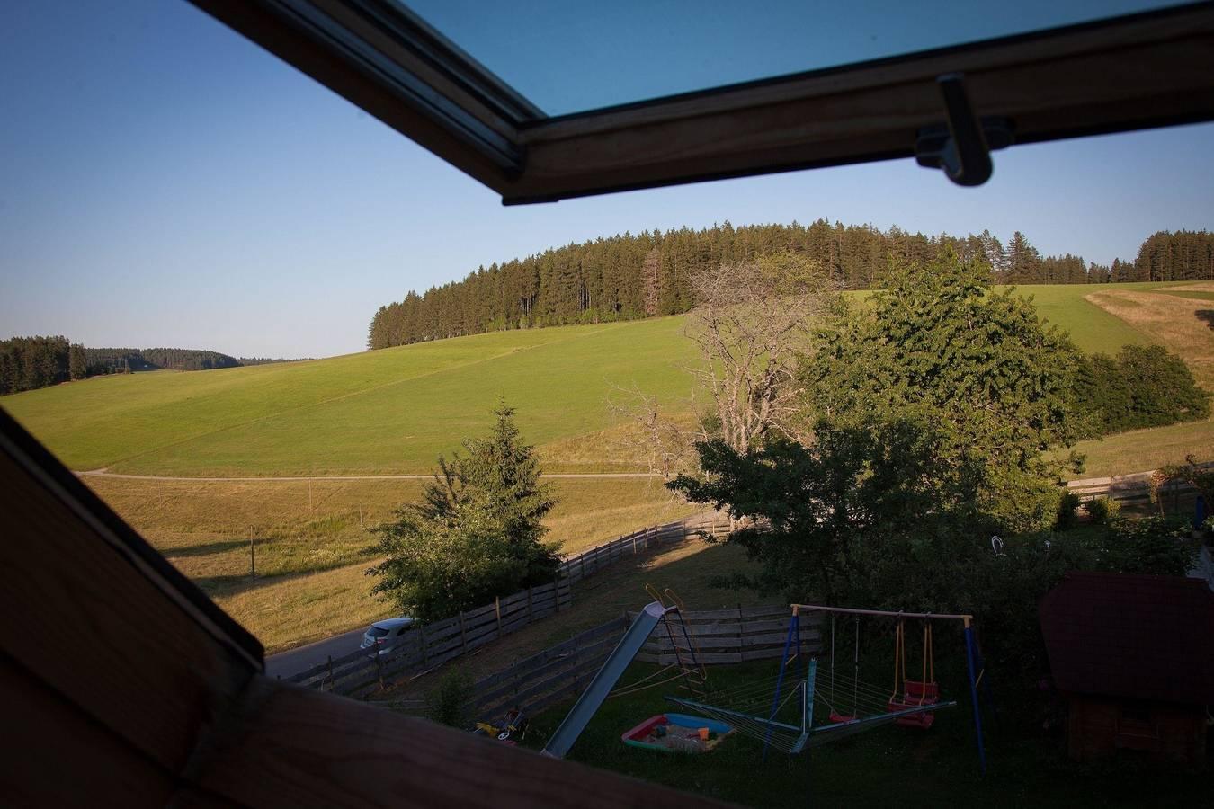 Vakantieappartement in Zwarte Woud, Duitsland voor 7 personen foto 4
