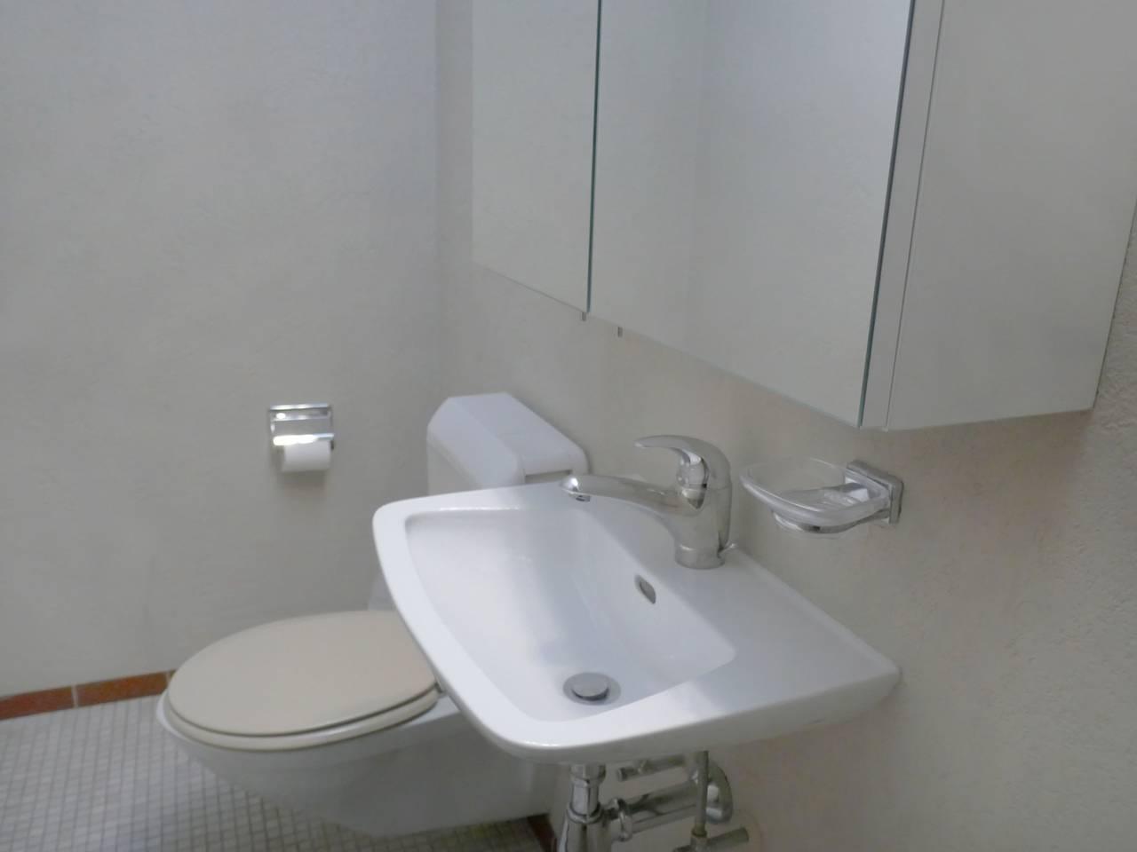 Rosablanche met 1 slaapkamer en sauna in Sornard (Nendaz), Nendaz, Zwitserland voor 4 personen foto 11