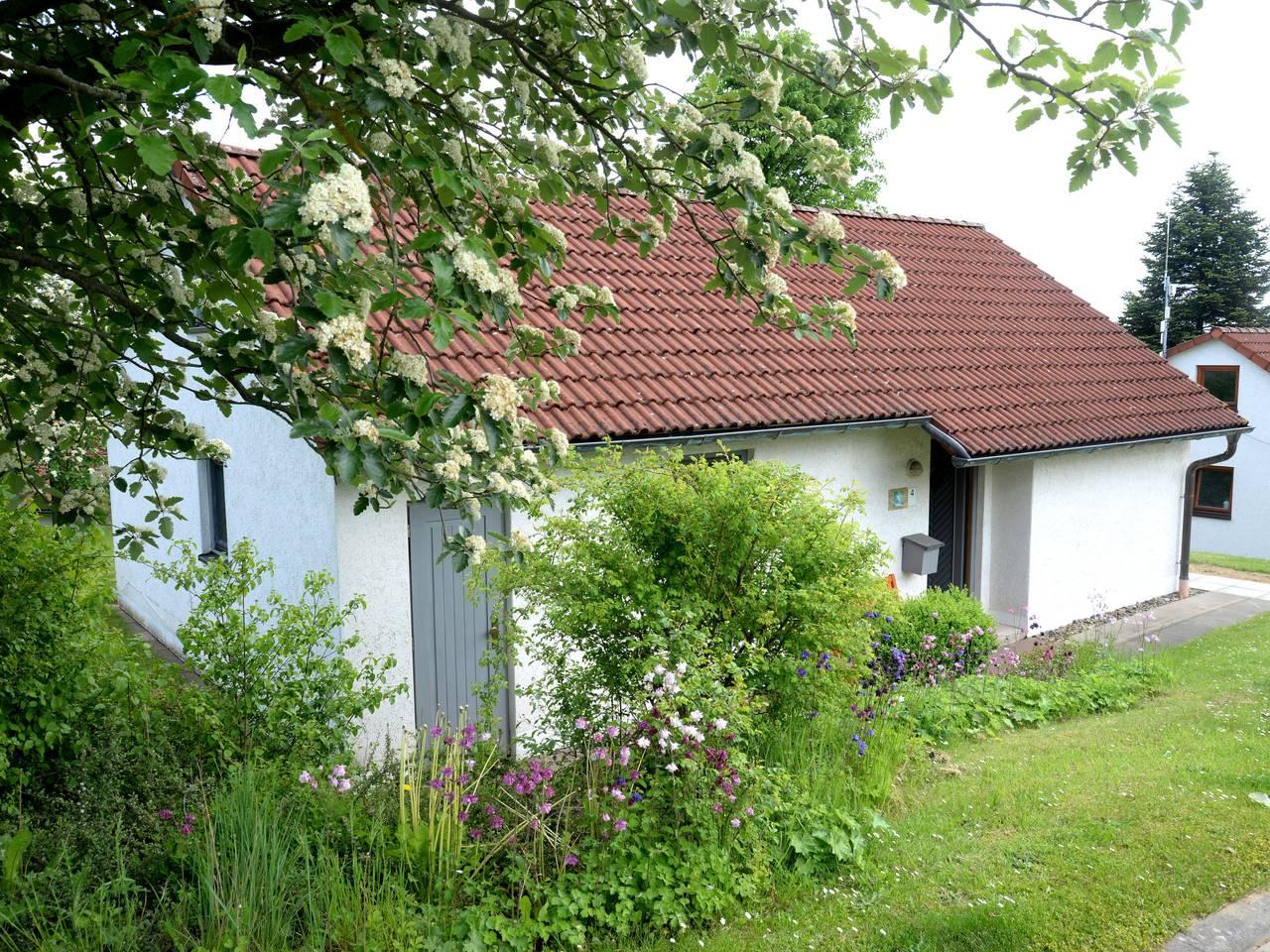Vakantiehuis met hond toegestaan in Uslar, Weserbergland, Duitsland voor 6 personen foto 20