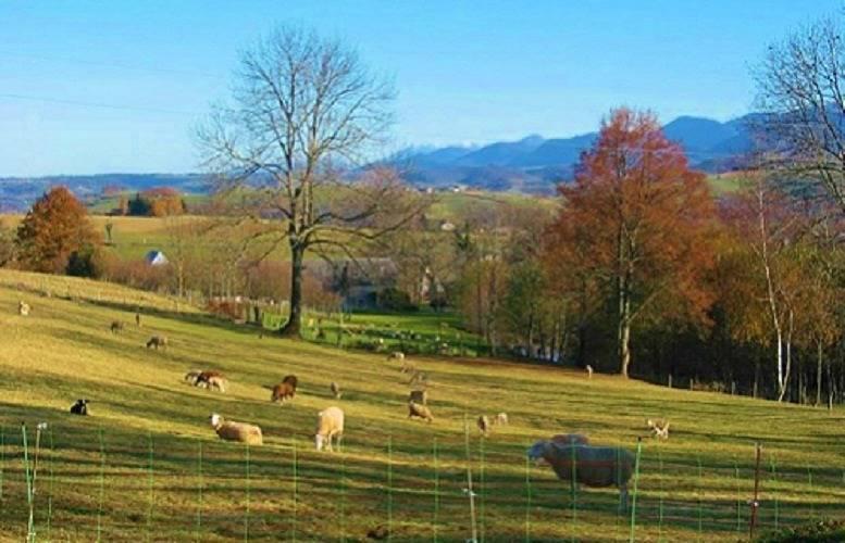 Vakantiehuis in Mérilheu, Frankrijk voor 2 personen foto 17