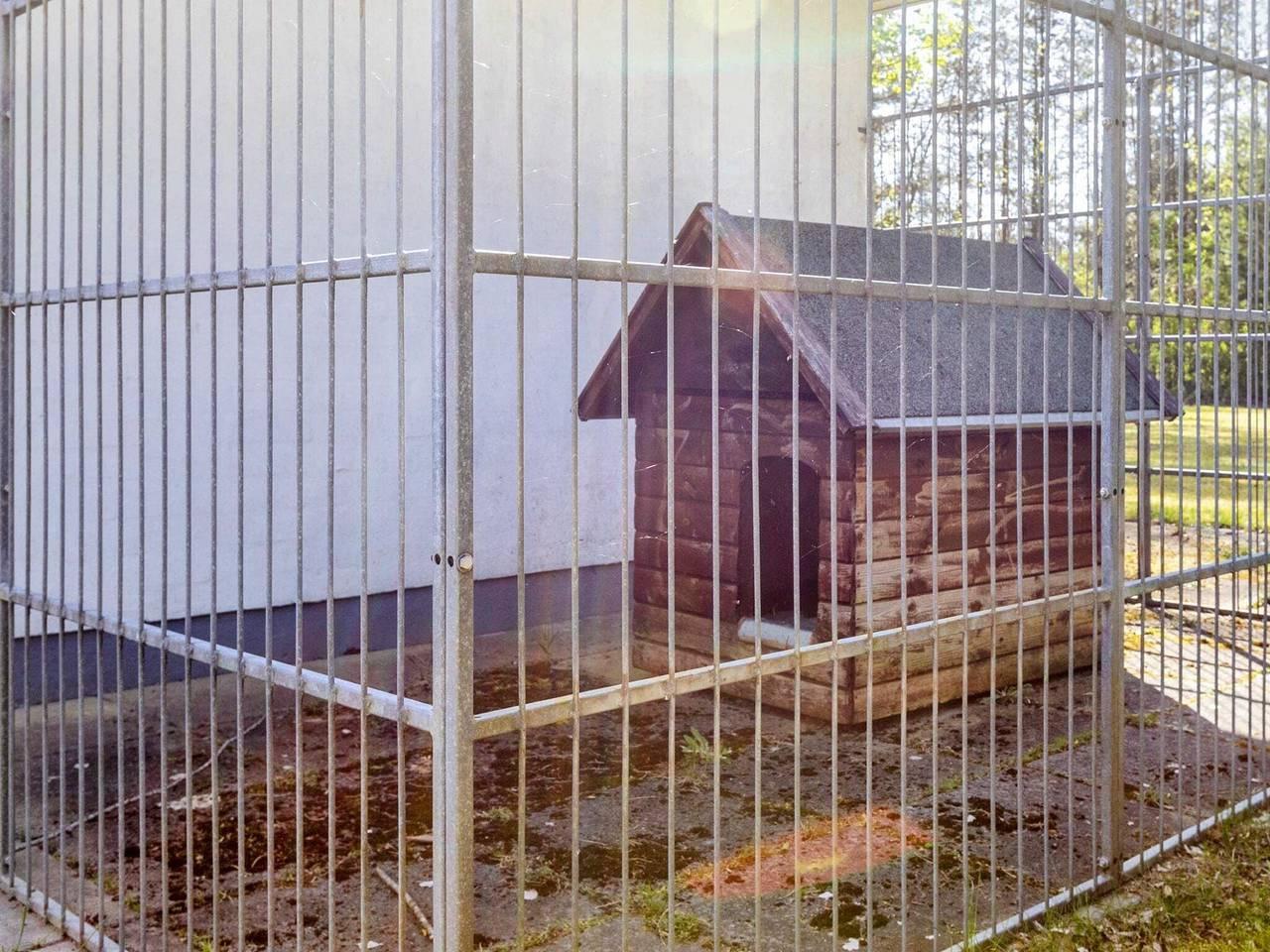 Vakantiehuis in Virksund, Denemarken voor 8 personen foto 6