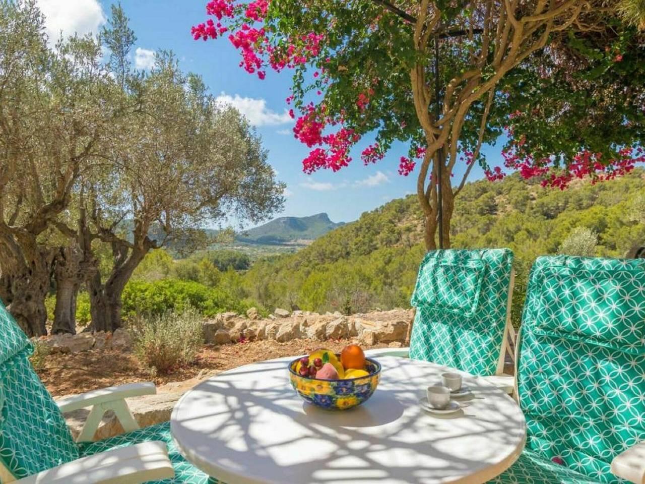 Vakantiehuis in Andratx, Spanje voor 4 personen foto 11