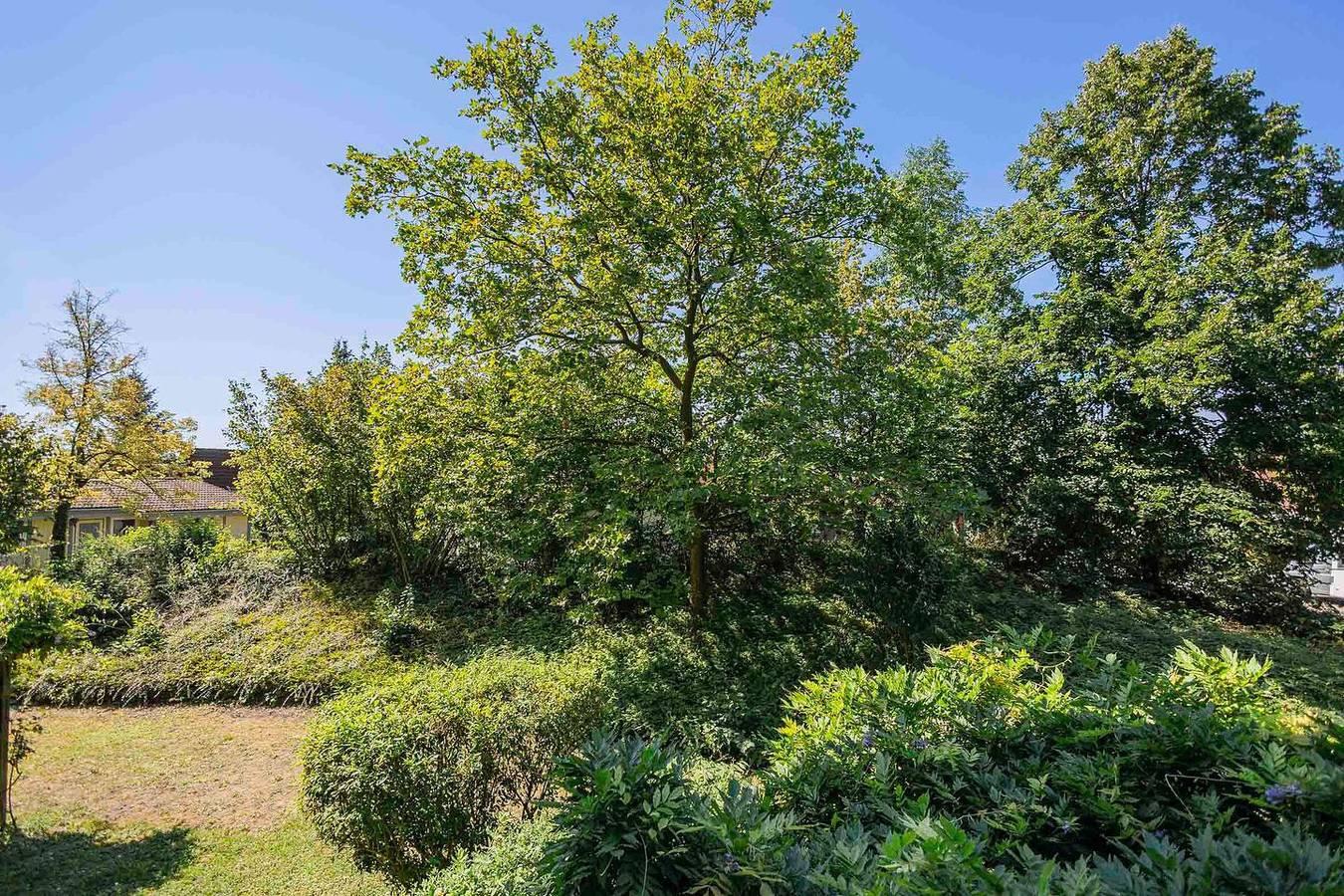 Vakantieappartement in Bodensee, Duitsland voor 3 personen foto 17