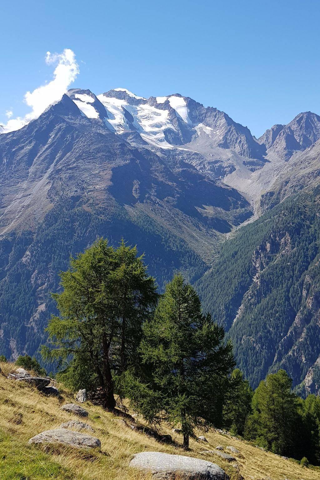 Vakantieappartement in Saas-Grund, Zwitserland voor 6 personen foto 7
