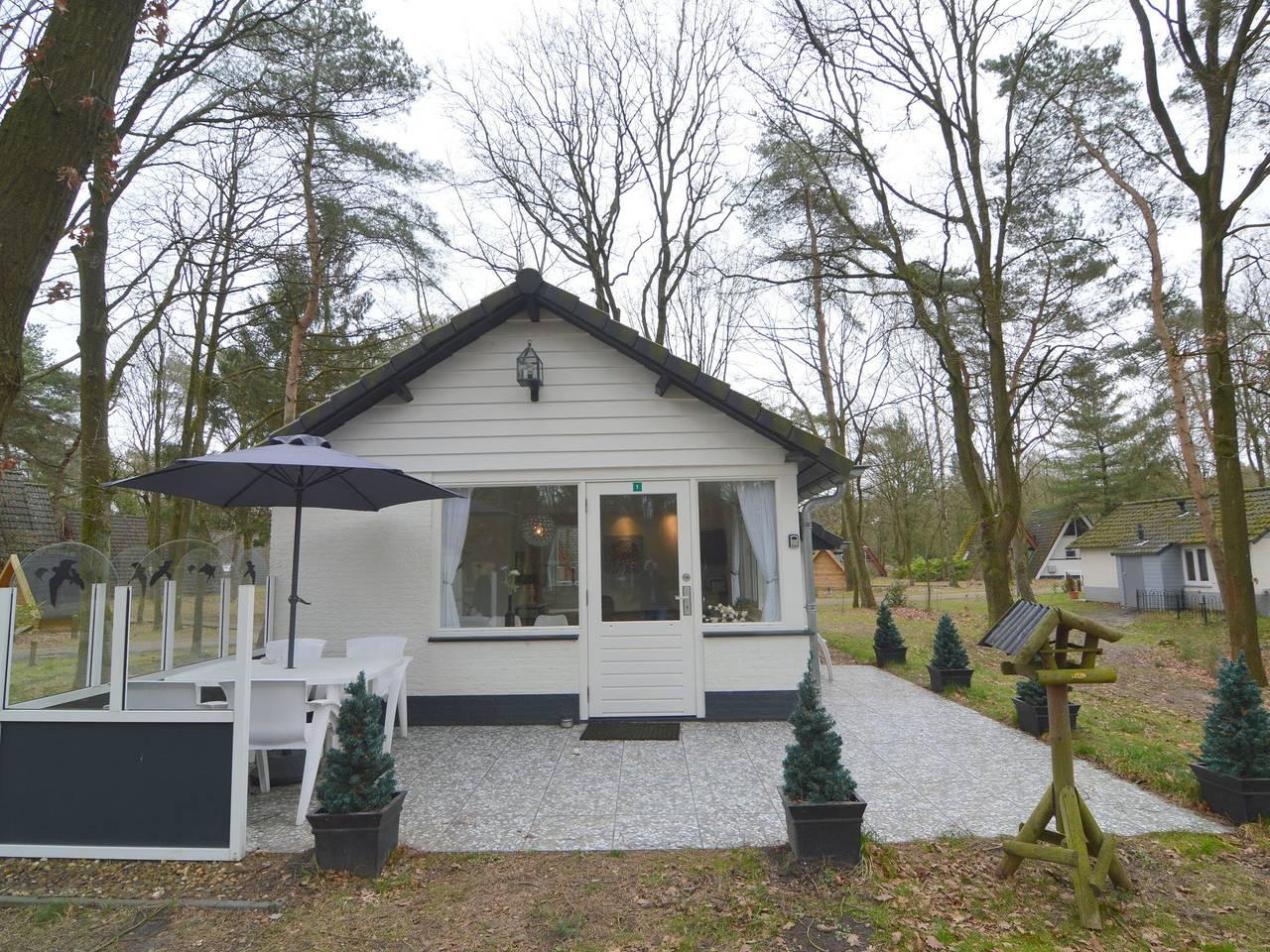 Vakantiehuis in Stramproy, Nederland voor 3 personen foto 6