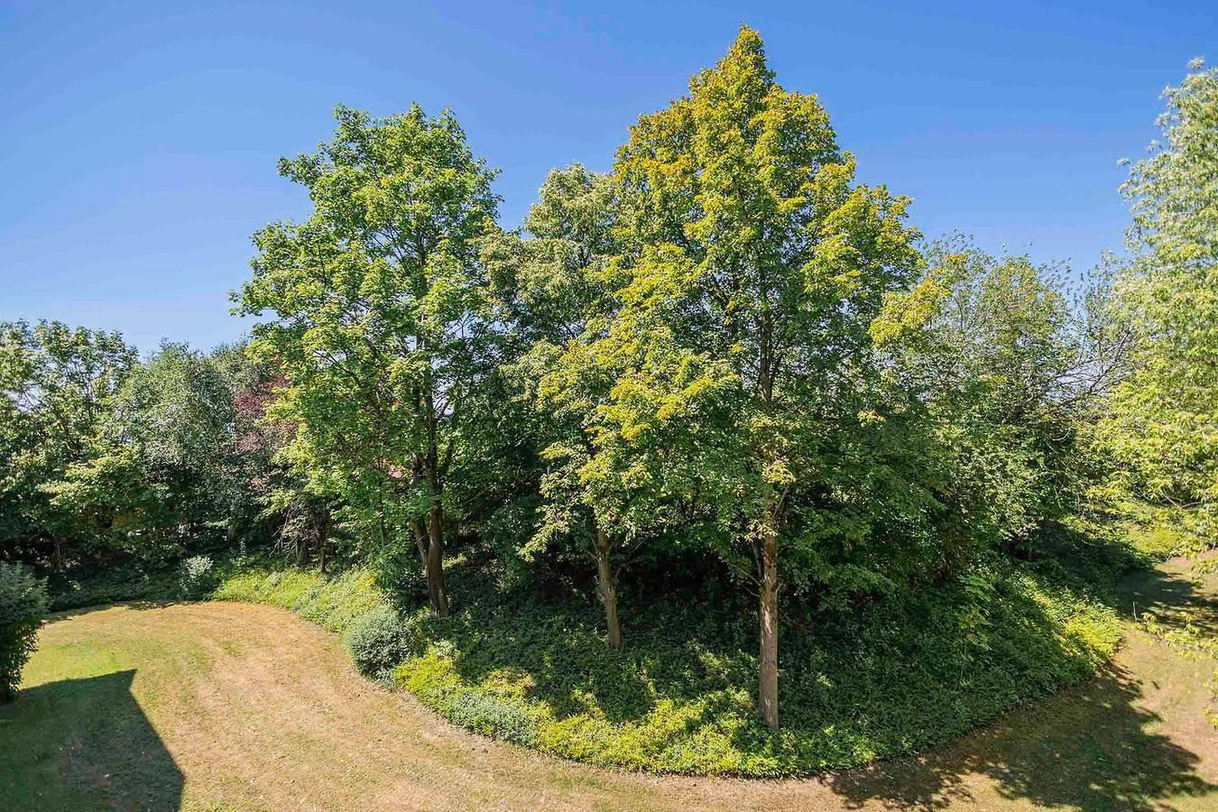 Vakantieappartement met balkon en 1 slaapkamer in Immenstaad am Bodensee, Duitsland voor 4 personen foto 20