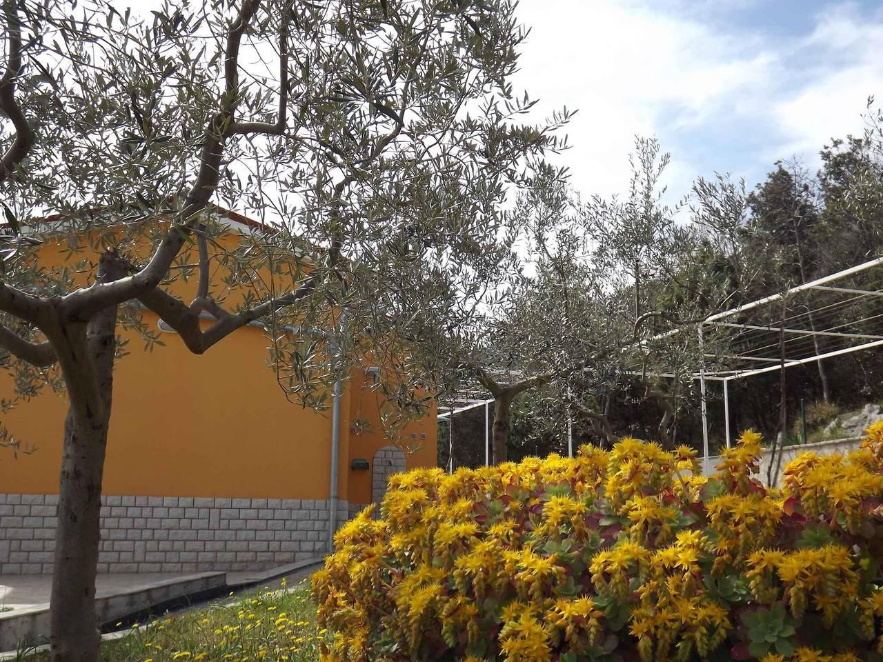 Vakantieappartement in Raša, Kroatië voor 2 personen foto 5
