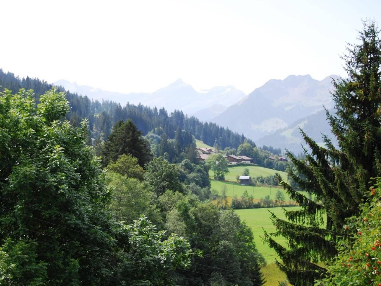 Vakantieappartement in Saanen, Zwitserland voor 8 personen foto 10