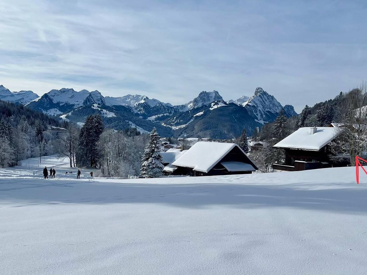 Vakantieappartement in Saanen, Zwitserland voor 8 personen foto 8