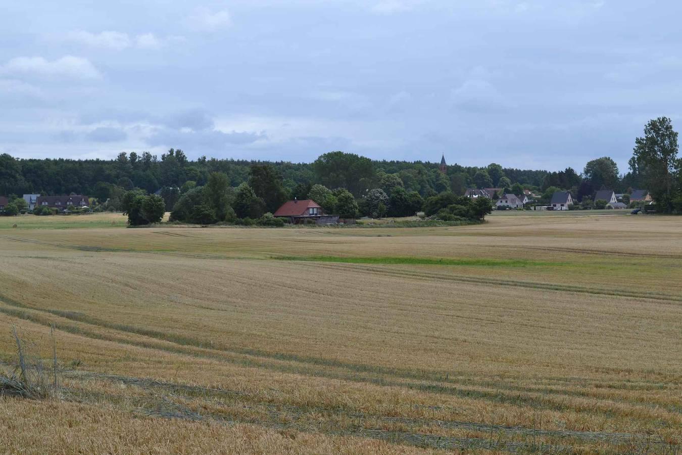 Vakantiewoning in de natuur met terras in Sehlen, Duitsland voor 2 personen foto 20