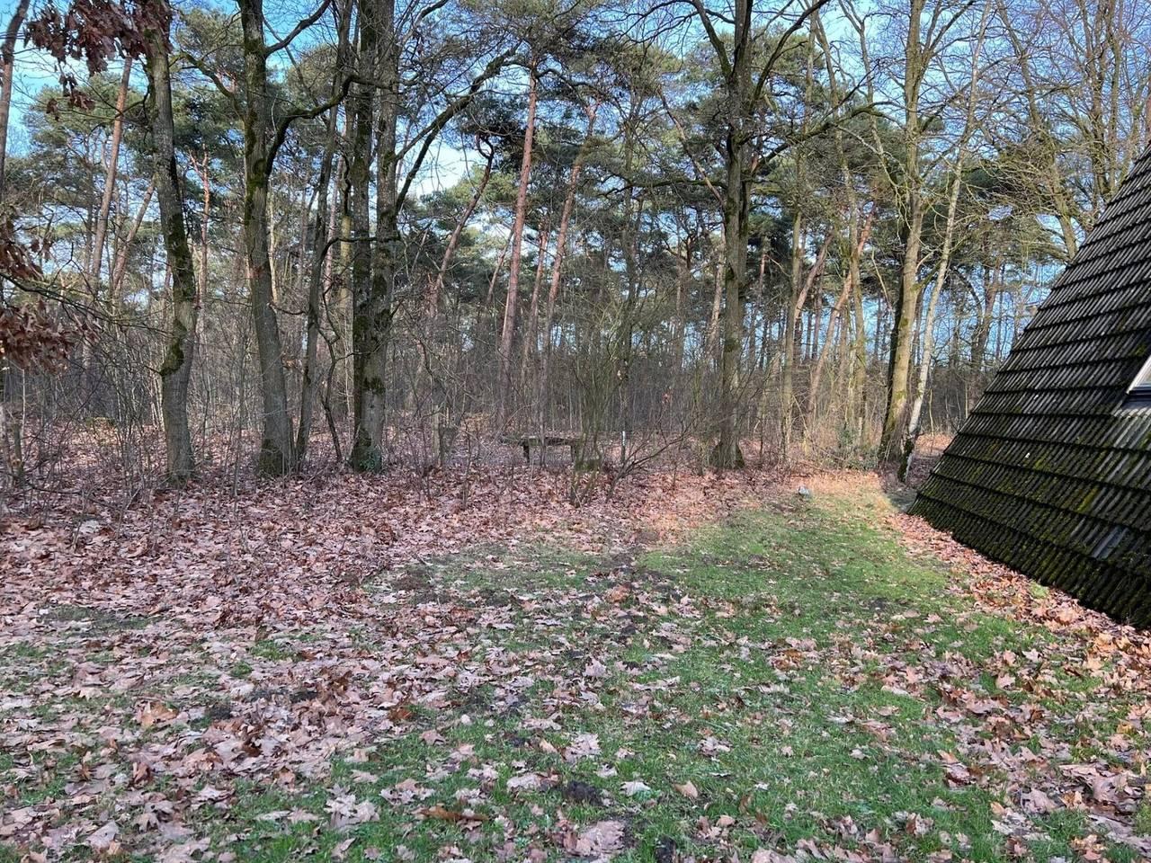 Dineren & Ontspannen Vakantieplek in Stramproy, Limburg, Nederland voor 6 personen foto 20