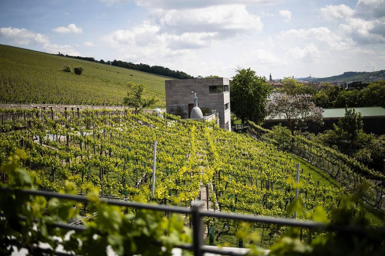 Gezellig pension in het "Weingut am Stein" met terras in Würzburg, Franconian Wine Country, Duitsland voor 6 personen foto 22
