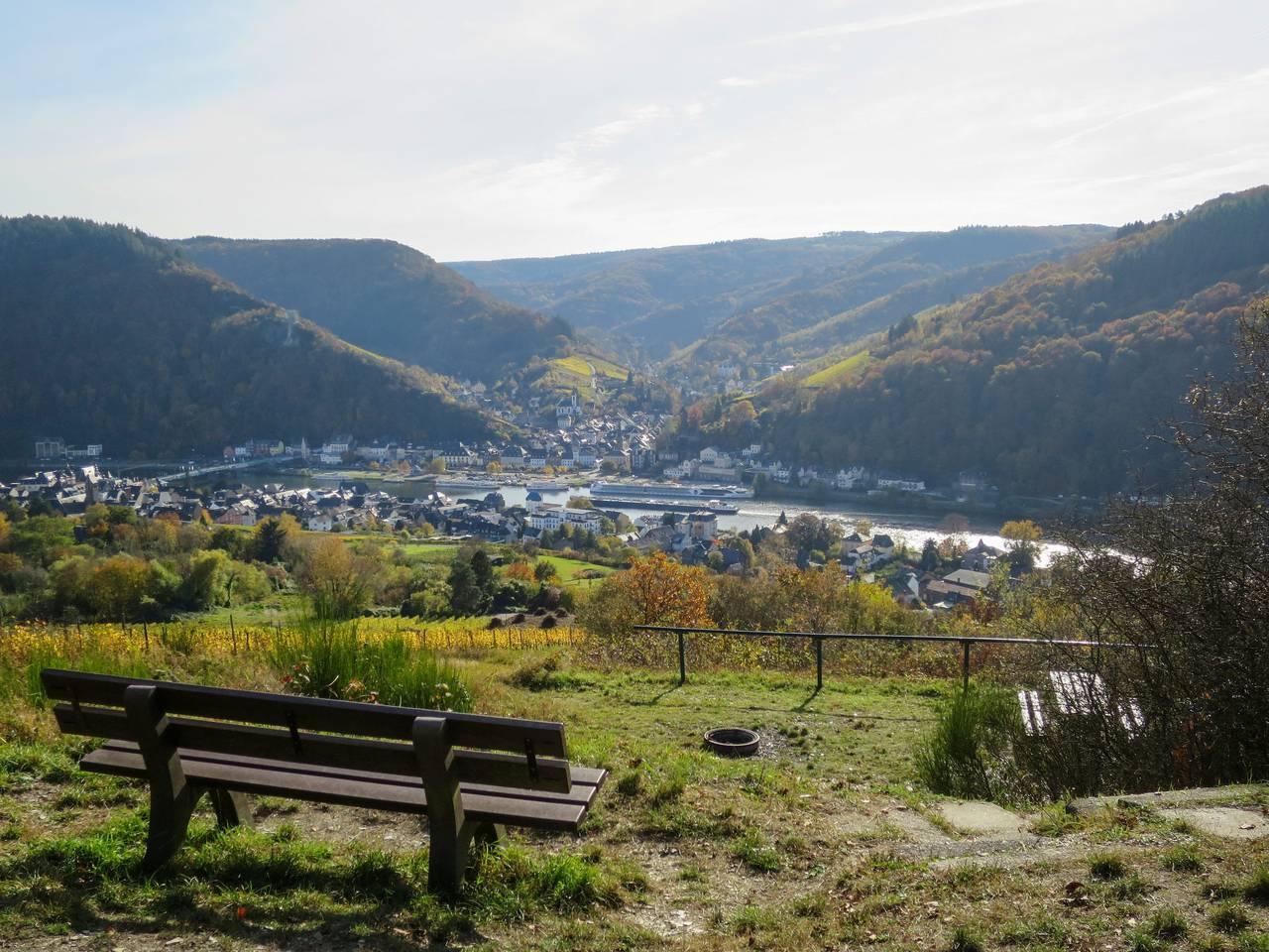 Vakantieappartement met hond toegestaan in Traben-Trarbach, Duitsland voor 2 personen foto 24