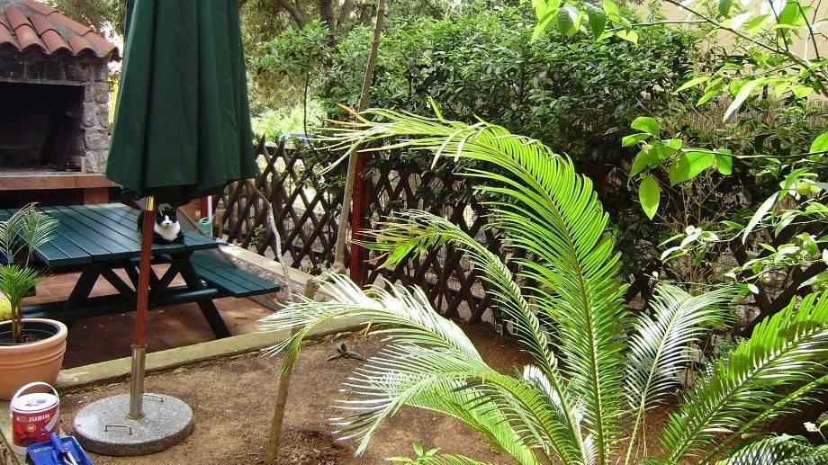 Vakantieappartement in Lošinj, Kroatië voor 2 personen foto 3