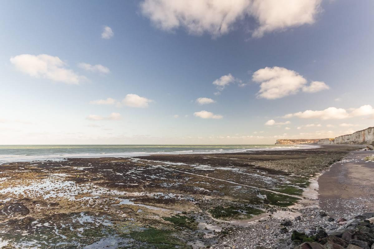 Gîtes de France® - Les Gîtes du Fond-Pitron -" Gîte Mer " in Saint-Léonard, Frankrijk voor 4 personen foto 24