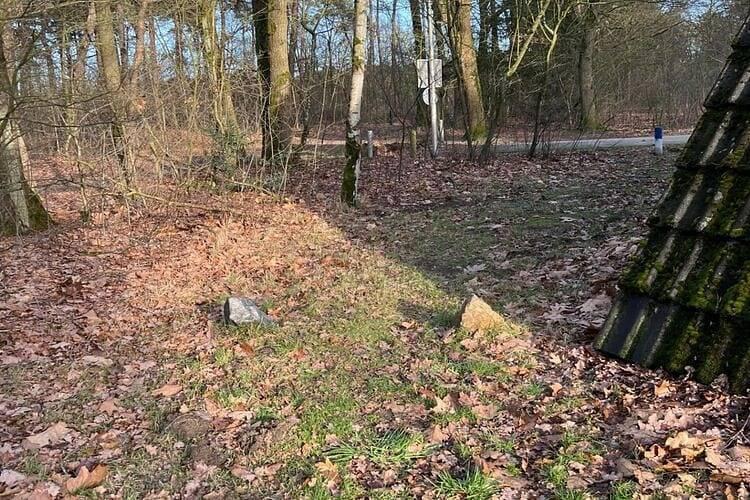 Dineren & Ontspannen Vakantieplek in Stramproy, Limburg, Nederland voor 6 personen foto 21
