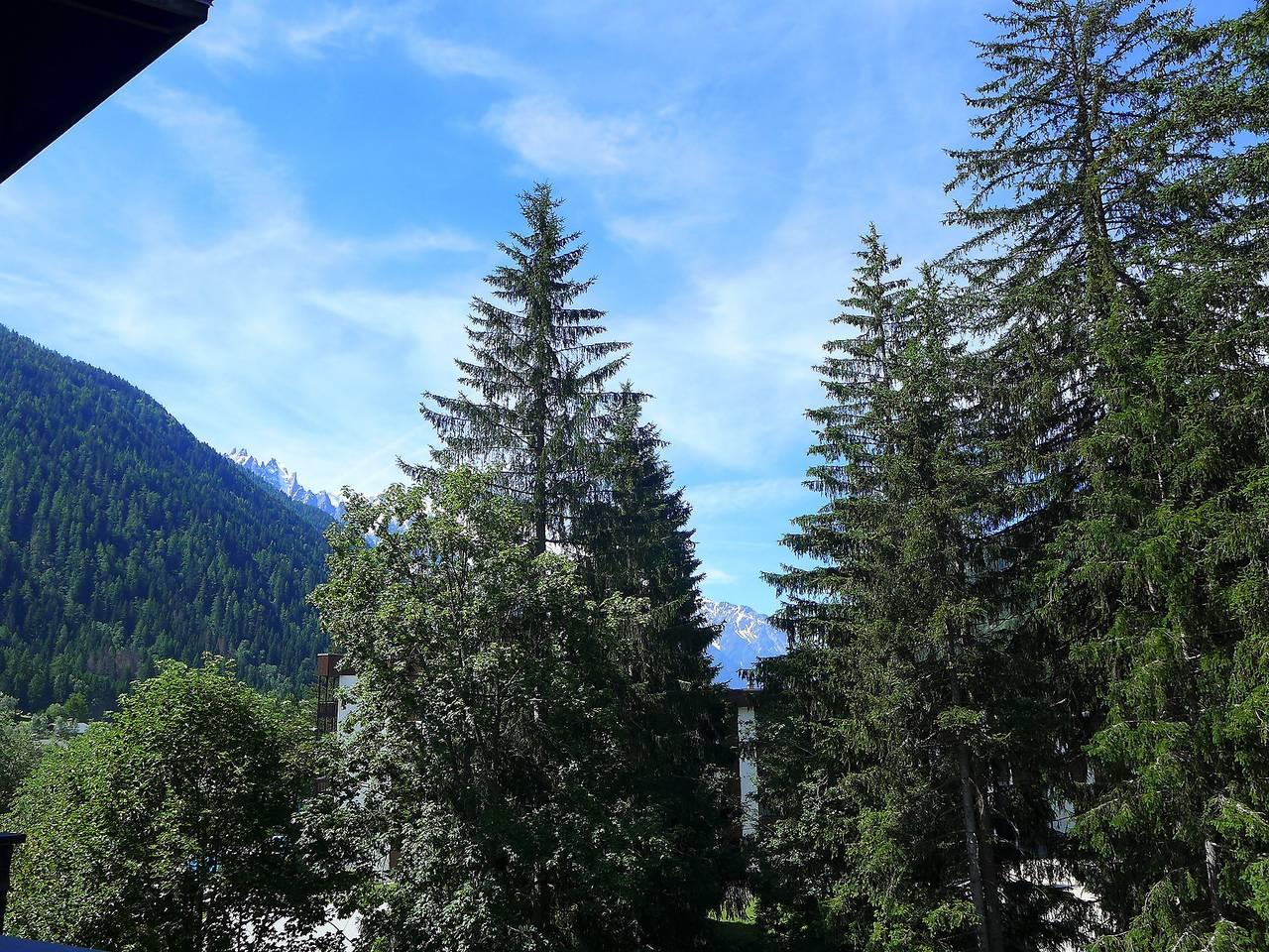 Vakantieappartement in Chamonix, Frankrijk voor 4 personen foto 17
