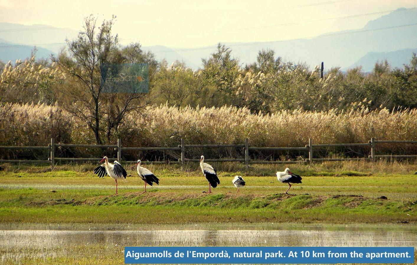 Vakantieappartement met terras in Roses, Upper Empordà, Spanje voor 6 personen foto 23