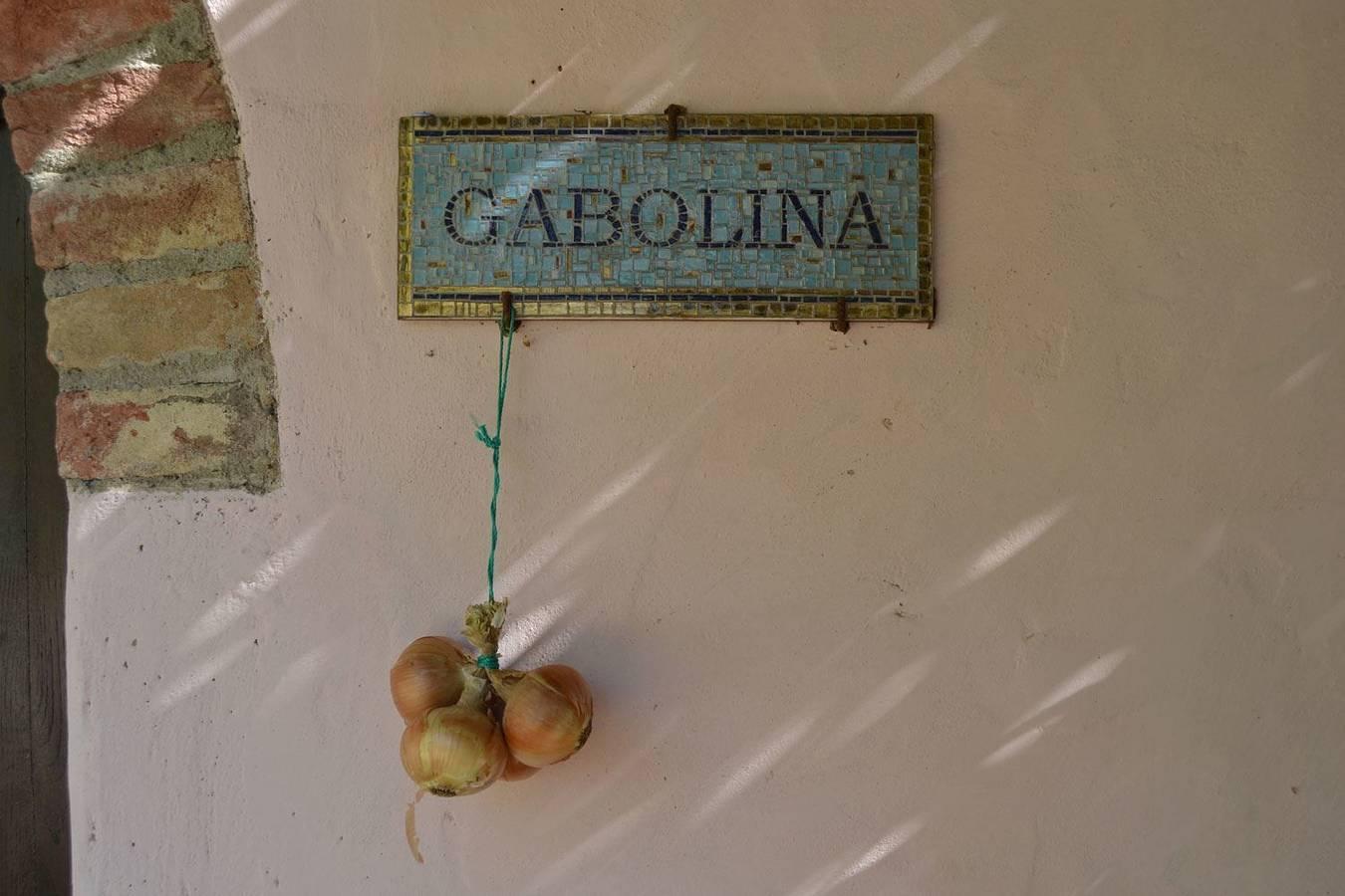 Fattoria la Gabola - La Gabolina in Cortona, Provincie Arezzo, Italië voor 6 personen foto 21