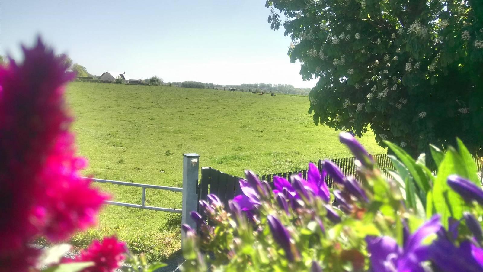 Gîtes de France® - La P'tite Pause Normande in Rouen en omgeving, Frankrijk voor 2 personen foto 21