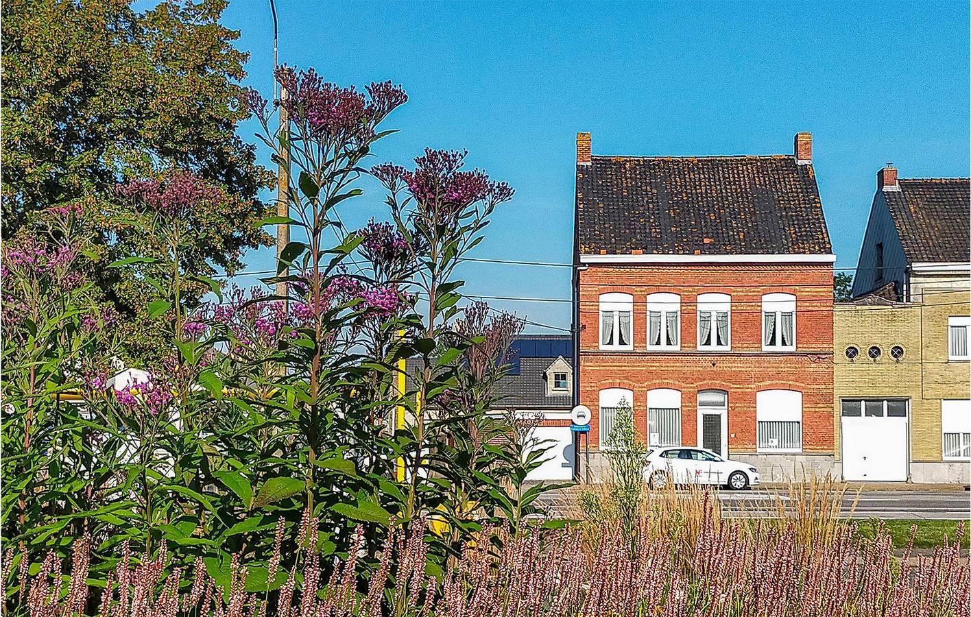 Vakantiehuis in Vleteren vanaf 87€ per nacht